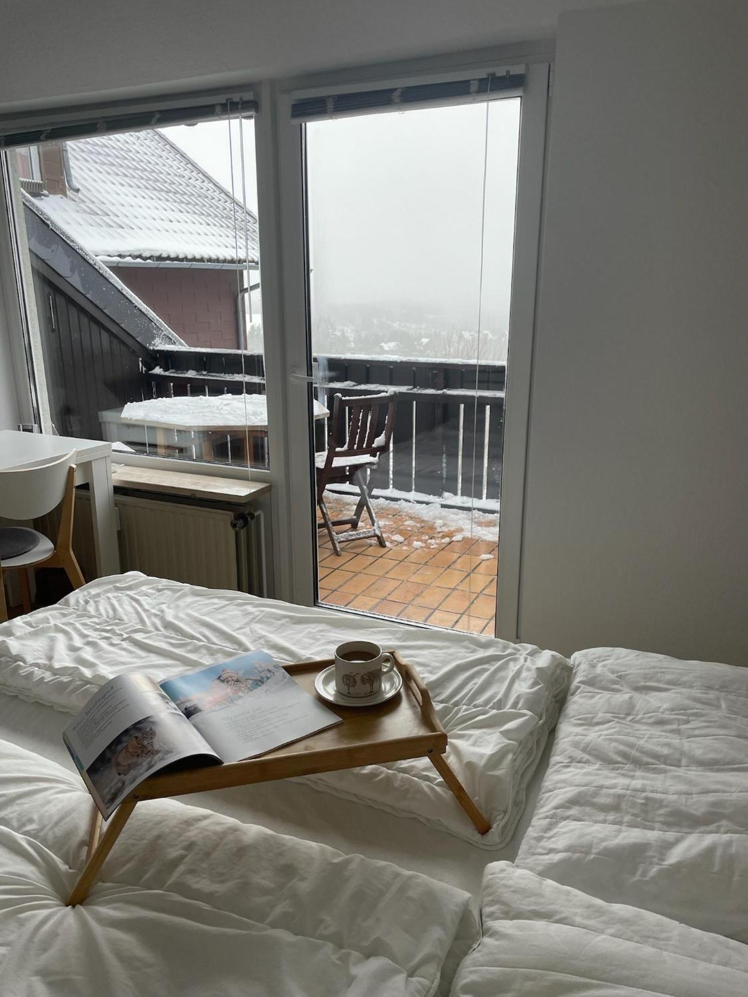 Gemuetliche Ferienwohnung Harz Braunlage Hohegeiss Buitenkant foto